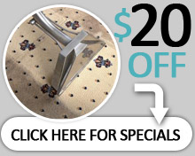 Oriental Rug Cleaners